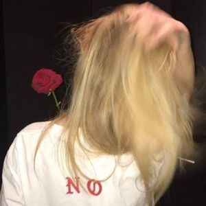 Meet your Posher, Lily